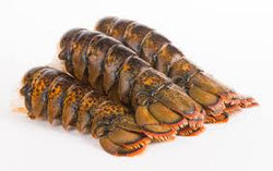 14 oz-15 oz Wild Caught Lobster Tail (3 tails)